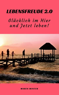 Maren Winter Lebensfreude 2.0: Glücklich im Hier und Jetzt leben! обложка книги