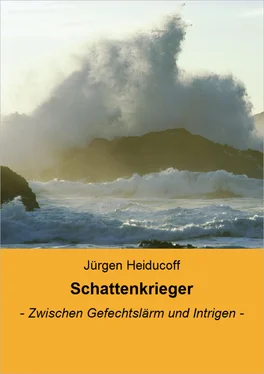 Jürgen Heiducoff Schattenkrieger обложка книги