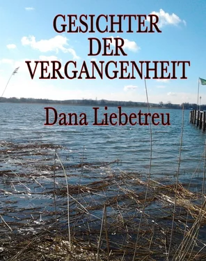 Dana Liebetreu Gesichter der Vergangenheit обложка книги