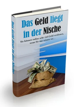 Rainer Schulze Das Geld liegt in der Nische обложка книги