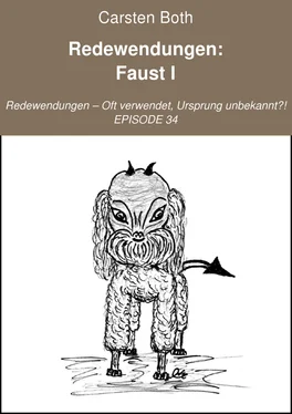 Carsten Both Redewendungen: Faust I обложка книги