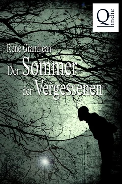 René Grandjean Der Sommer der Vergessenen обложка книги