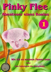 Andy Glandt - Pinky Flee - Abenteuer eines Koalas
