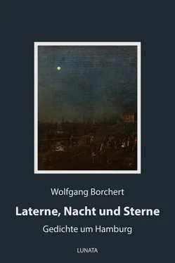 Wolfgang Borchert Laterne, Nacht und Sterne обложка книги