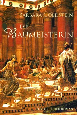 Barbara Goldstein Die Baumeisterin обложка книги