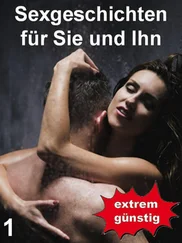 Ilona Melchner - Sexgeschichten für Sie und Ihn 1