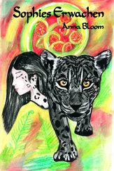 Anna Bloom - Sophies Erwachen