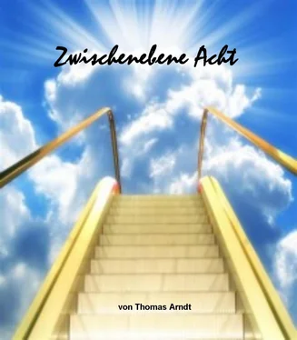 Thomas Arndt Zwischenebene Acht обложка книги