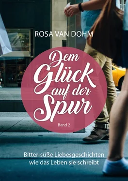 Rosa van Dohm Dem Glück auf der Spur Band 2 обложка книги
