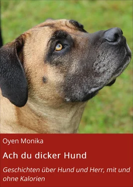 Oyen Monika Ach du dicker Hund обложка книги