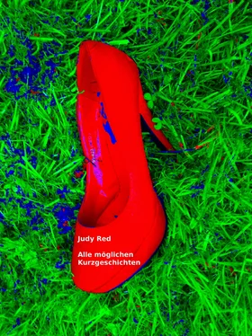 Judy Red Lauter kleine Kurzgeschichten обложка книги