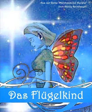 Sandy Sponhauer Das Flügelkind обложка книги