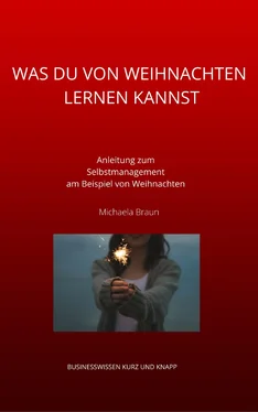 Michaela Braun WAS DU VON WEIHNACHTEN LERNEN KANNST обложка книги