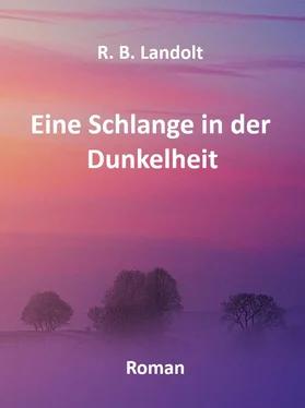 R. B. Landolt Eine Schlange in der Dunkelheit обложка книги