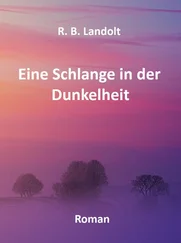 R. B. Landolt - Eine Schlange in der Dunkelheit