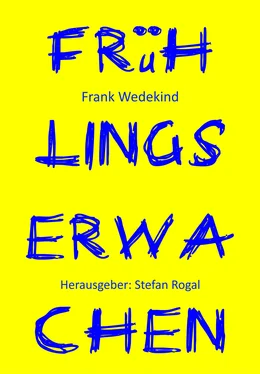 Frank Wedekind Frühlings Erwachen обложка книги