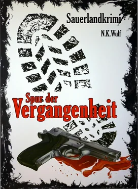 N.K. Wulf Spur der Vergangenheit обложка книги