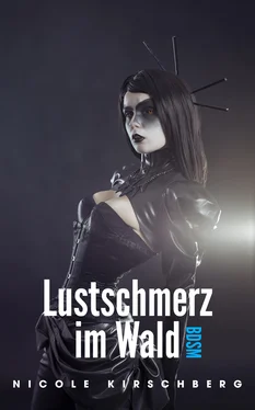 Nicole Kirschberg Lustschmerz im Wald (BDSM) обложка книги