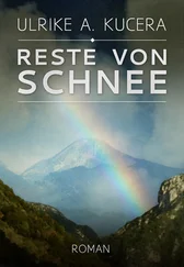 Ulrike A. Kucera - Reste von Schnee