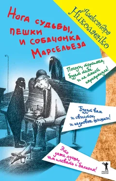 Александра Николаенко Нога судьбы, пешки и собачонка Марсельеза обложка книги