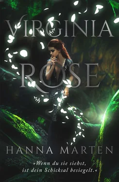 Hanna Marten Virginia Rose обложка книги