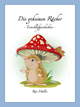 Ron Müller Die geheimen Rächer обложка книги
