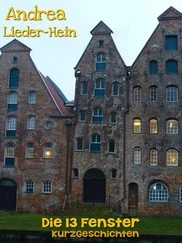 Andrea Lieder-Hein - Die dreizehn Fenster
