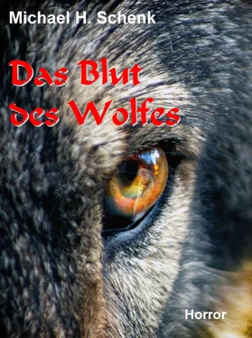 Michael Schenk Das Blut des Wolfes обложка книги