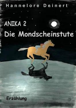 Hannelore Deinert Anika Die Mondscheinstute обложка книги