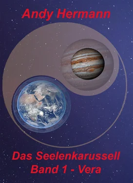 Andreas Hermann Das Seelenkarussell - Band 1 - Vera обложка книги