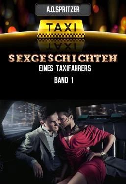 A.O. Spritzer Sexgeschichten eines Taxifahrers обложка книги