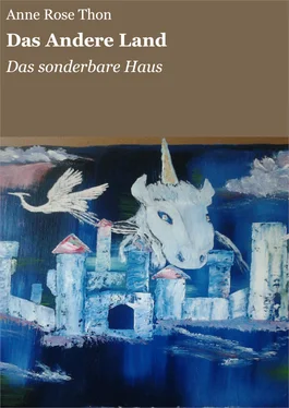 Anne Rose Thon Das Andere Land обложка книги