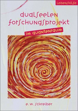 E. Schreiber Dualseelen Forschungsprojekt im Quantenraum обложка книги