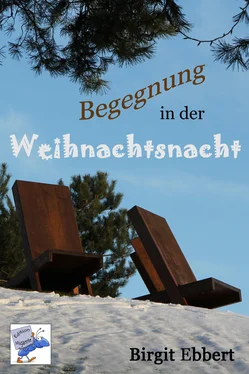 Birgit Ebbert Begegnung in der Weihnachtsnacht обложка книги