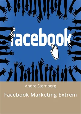 André Sternberg Facebook Marketing Extrem обложка книги
