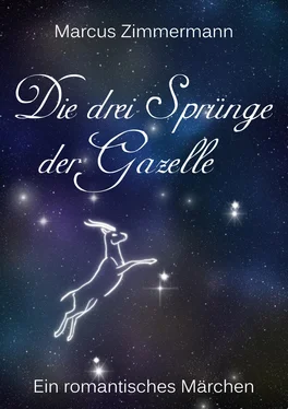 Marcus Zimmermann Die drei Sprünge der Gazelle - Überarbeitete Version обложка книги