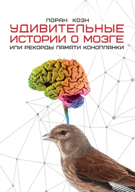 Лоран Коэн Удивительные истории о мозге, или Рекорды памяти коноплянки обложка книги