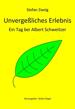 Stefan Zweig Unvergeßliches Erlebnis обложка книги