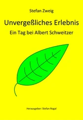 Stefan Zweig - Unvergeßliches Erlebnis