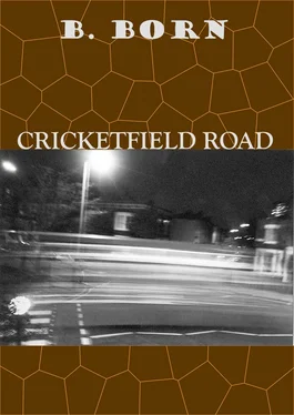 Boris Born Cricketfield Road обложка книги