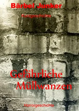 Bärbel Junker Gefährliche Müllwanzen обложка книги