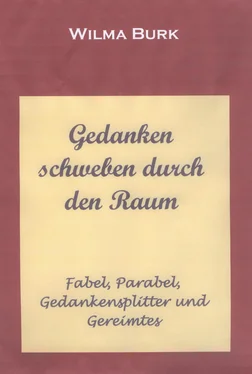 Wilma Burk Gedanken schweben durch den Raum обложка книги