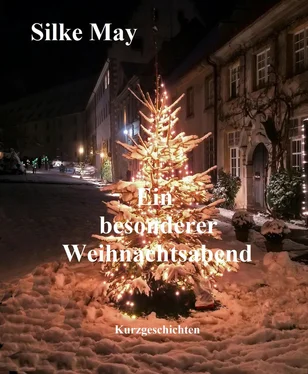 Silke May Ein besonderer Weihnachtsabend обложка книги
