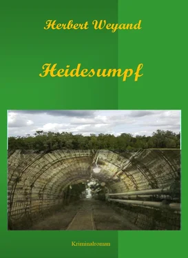 Herbert Weyand Heidesumpf обложка книги