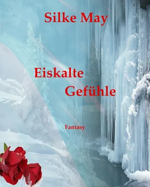 Silke May Eiskalte Gefühle обложка книги