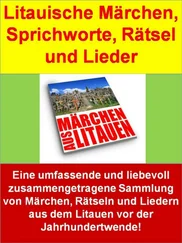 August Schleicher - Litauische Märchen, Sprichworte, Rätsel und Lieder