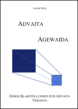 Anton Weiß Advaita- Agewaida обложка книги