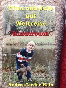 Andrea Lieder-Hein Finn und Jule auf Weltreise обложка книги