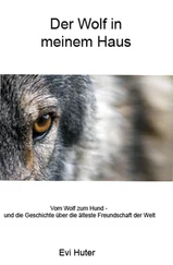 Evi Huter - Der Wolf in meinem Haus