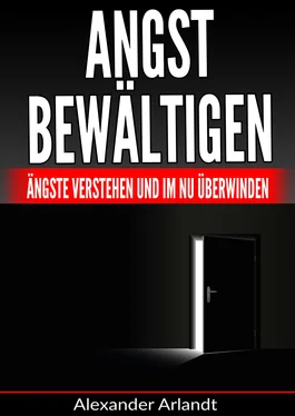 Alexander Arlandt Angst bewältigen обложка книги